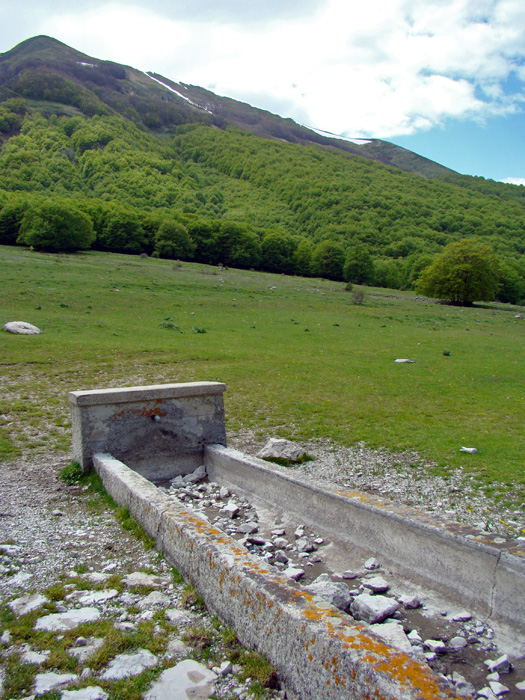 Fontanili dell''Abruzzo